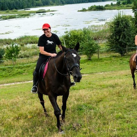 Stajnia Grazyny Mikorowo 46 Villa Czarna Dabrowka Bagian luar foto